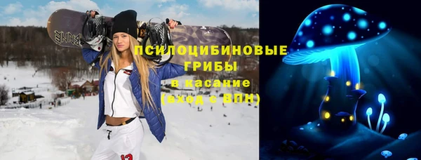 сатива Белоозёрский