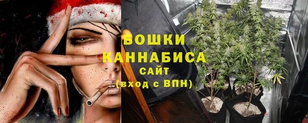 амф Няндома