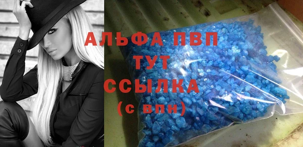 сатива Белоозёрский