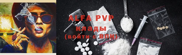 сатива Белоозёрский