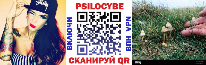 OMG онион  Котово  Галлюциногенные грибы Psilocybe 
